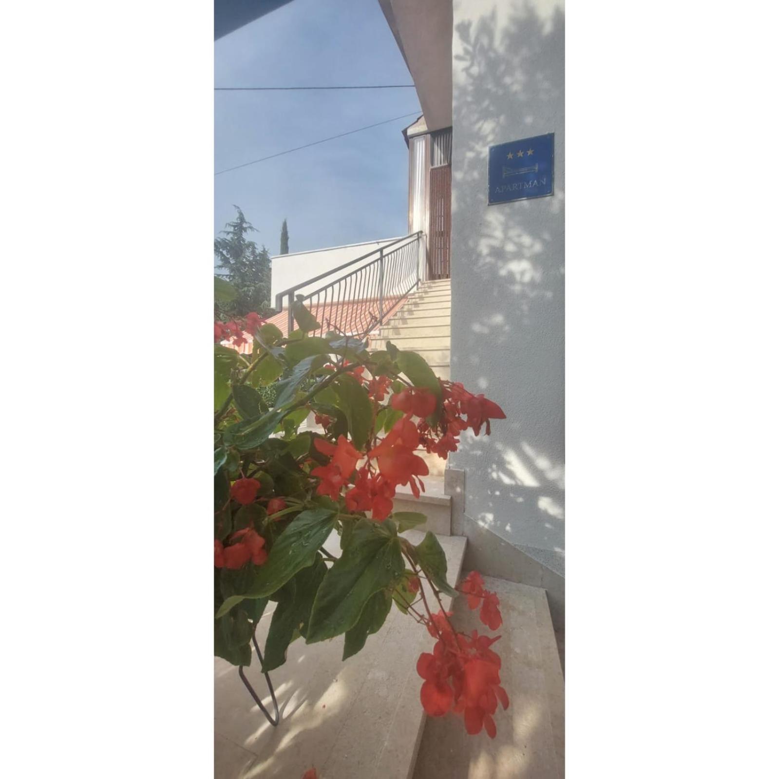 Apartman Dino Roč Extérieur photo